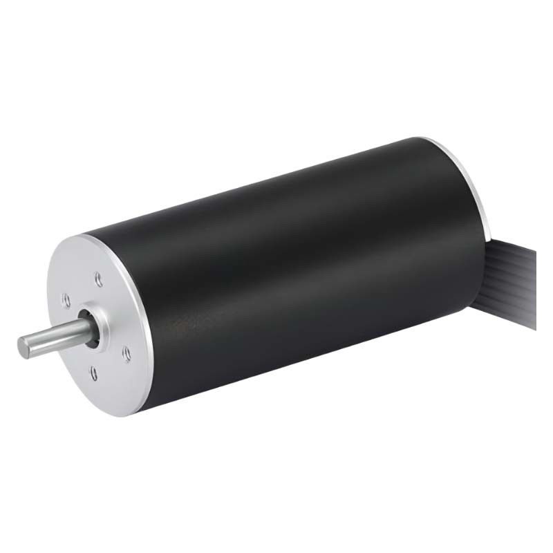 Μεγάλη ταχύτητα 22mm Slotless Brushless Motor 48V Coreless BLDC Motor 22W 13641rpm