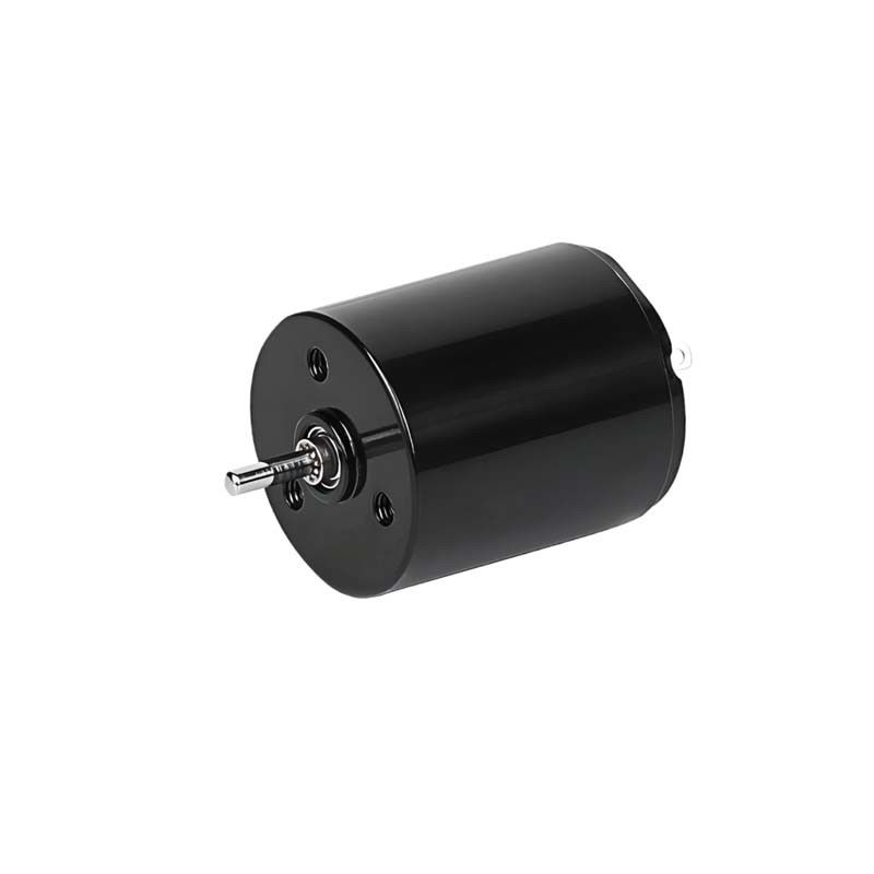 Μικροχλωρίδιο βούρτσας DC κινητήρας 22mm 3.61 Watt 6900rpm 36V Προσαρμόσιμο